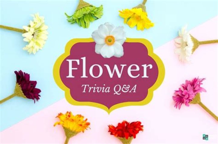 43 Flower Trivia Questions and Answers 