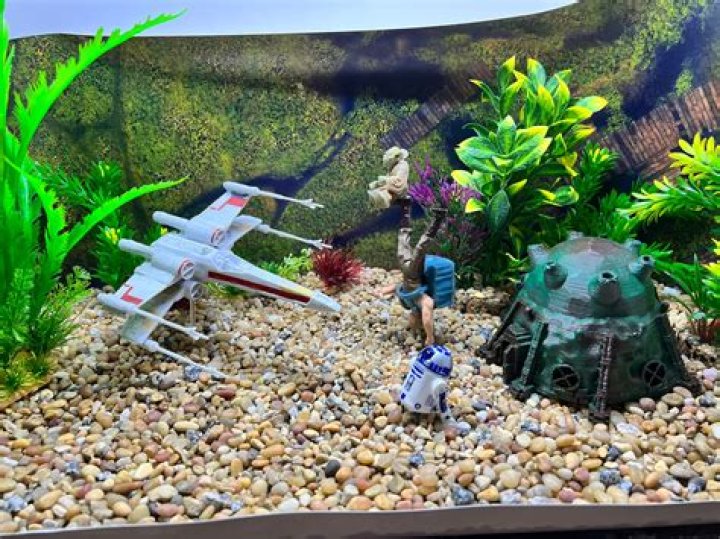 Aquarium Fish Star Wars Jedi: Survivor