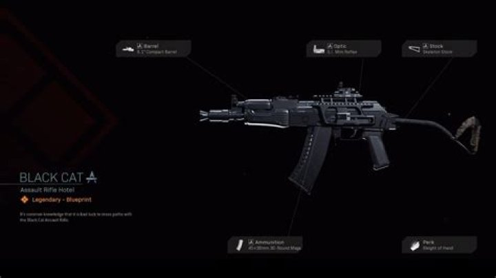Black Cat | COD Warzone and Modern Warfare Weapon Blueprint