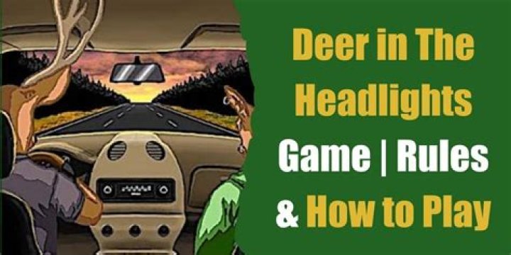 Deer in The Headlights Game | Rules & How to Play?