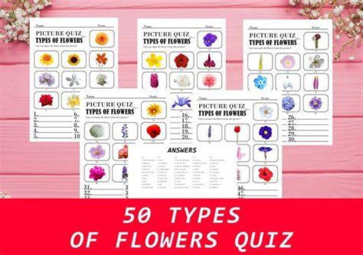 Different Types of Flowers Trivia Image