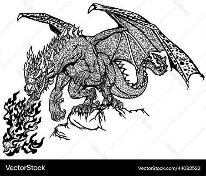Dragon's Fire
