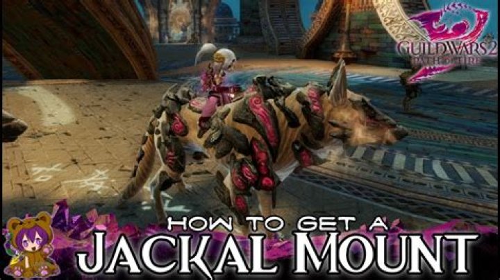 GW2 Jackal Mount