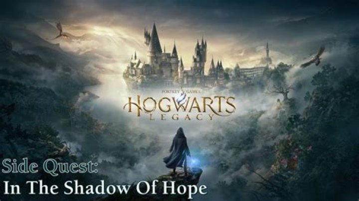 In The Shadow Of Hope Walkthrough
