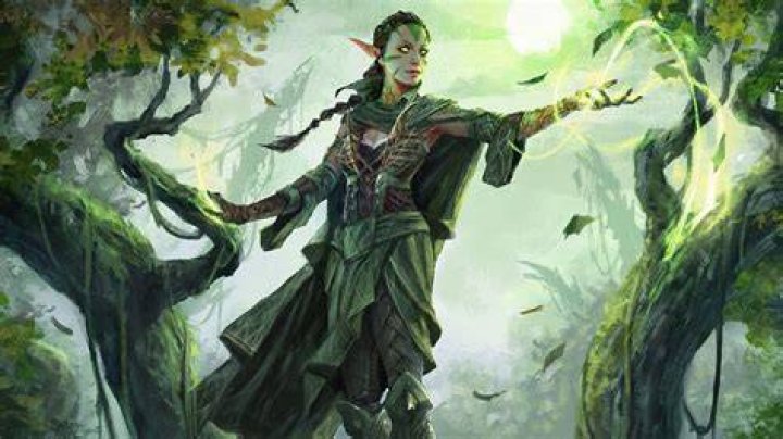 Nissa's Expedition