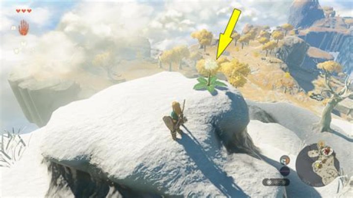 Pit Cave Dandelion Korok Puzzle