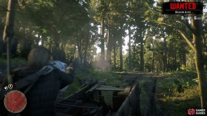 The Delights of Van Horn - Chapter 6 - Walkthrough | Red Dead Redemption 2