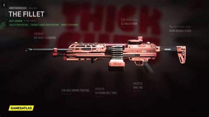 The Fillet | Warzone and Modern Warfare 2 Blueprint