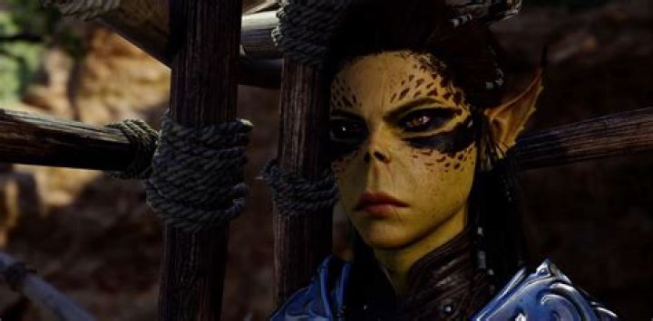 The Githyanki Warrior, Baldur's Gate 3 Quest