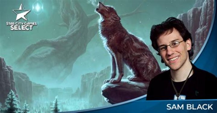 Using 17Lands.com As A Resource To Improve At Limited