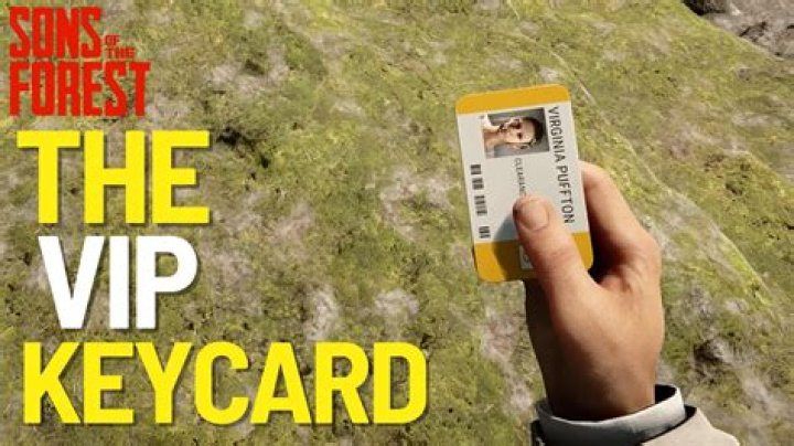 VIP Keycard - Sons of the Forest Database